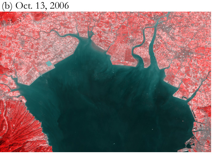 Fig.3: Zoom-up of the northern Ariake sea on October 13. They are assigned the near-infrared channel to R of RGB and assigned the red channel to G and B.