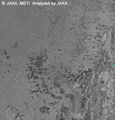 fig.3: The area where deforestation is done frequently in Amazon, observed by JERS-1 SAR on 1996.