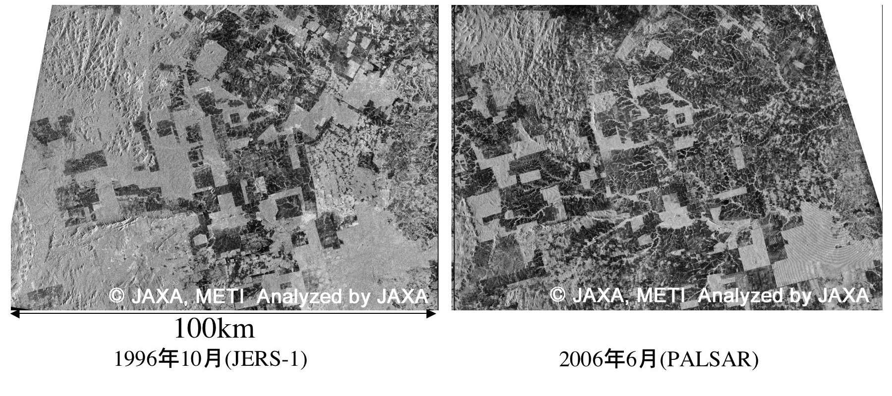 Forest of Amazon observed by JERS-1 SAR (Left fig., on October 1996) and PALSAR (Daichi) (Right fig., on June 2006)