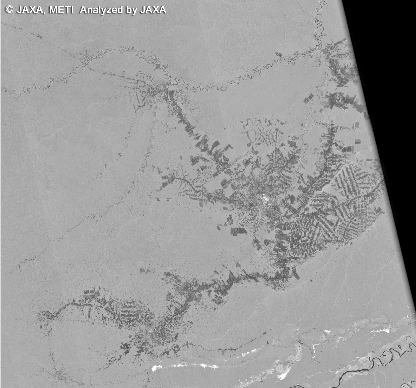 Forest of Rondonia in Amazon observed by PALSAR(2006)