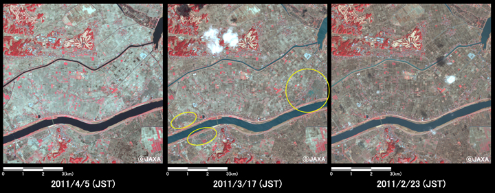 }5:ϑZpquvڃZTAAuj[Ec[Ŋϑꂽ錧~sӂ̗lq(8km~8km̃GAA}: nk2011N45A}: nk2011N317AE}: nkO2011N223)