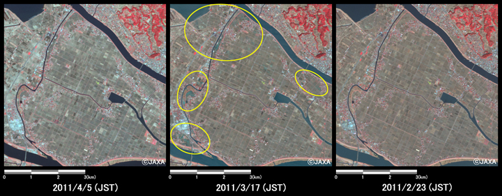 }6:ϑZpquvڃZTAAuj[Ec[Ŋϑꂽtsӂ̗lq(6km~6km̃GAA}: nk2011N45A}: nk2011N317AE}: nkO2011N223