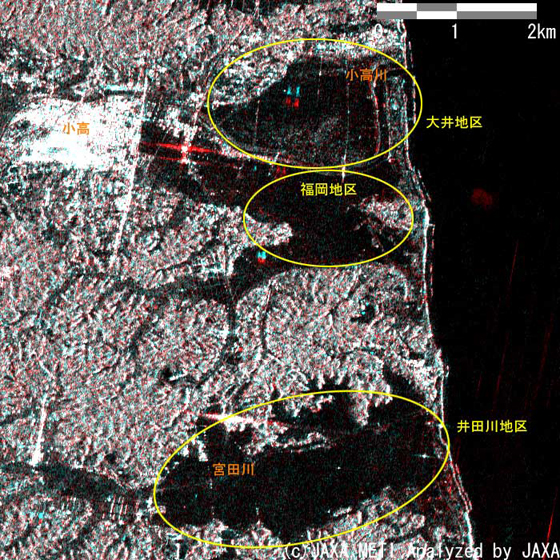 図4(f):PALSARでの2011年4月2日観測の画像を赤に、2011年3月16日の画像を緑と青に割り当てたカラー合成画像から、小高周辺拡大図