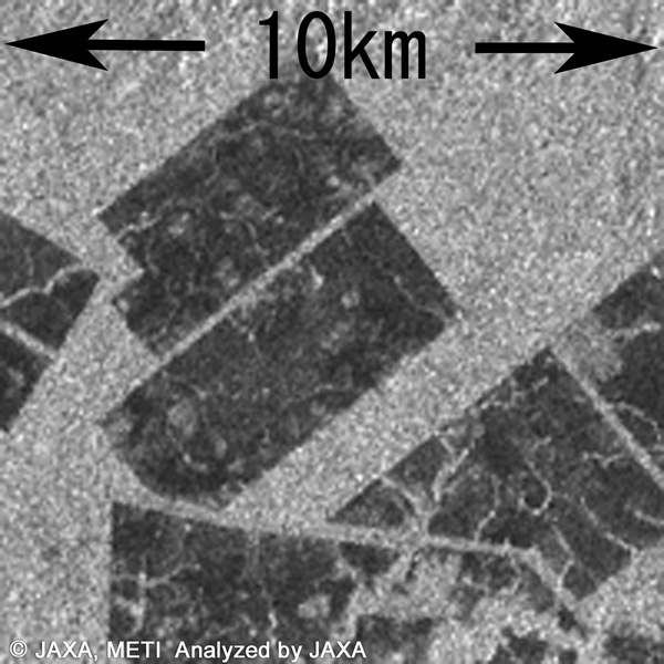 図2: IBAMAに提供する画像の一例(図1:ブラジル(マットグロッソ地方)の森林伐採)の一部(10km四方)