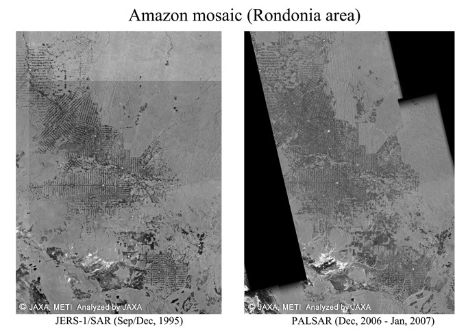 図3:アマゾン・ロンドニア地方の11年間にわたる森林伐採の状況。左)1995年に観測したJERS-1 SARのモザイク画像。右)2007年に観測したPALSARのモザイク画像。