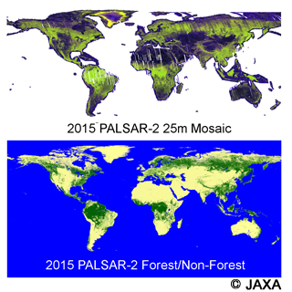 全球PALSAR-2モザイク&森林・非森林マップ (2015年) 