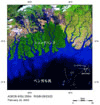画像：全球陸域詳細観測(全球観測では最も詳細)