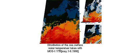 Observation Images2