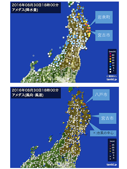図４　アメダス東北地方（上：降水量　下：風向風速　2016年8月30日18時）　※　×は欠測を表す