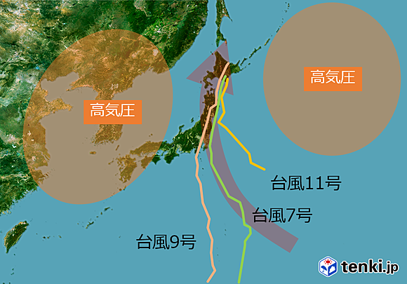図１　2016年8月北海道に上陸した3つの台風経路