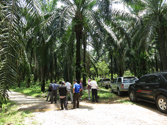 Visiting study site in Rancangan Tanah Berkelompok