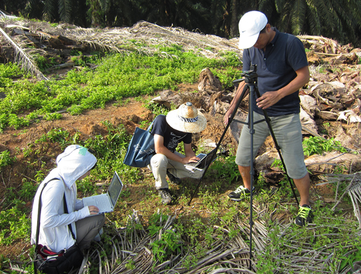 Field Study at Kota Gelangi 6 Estate.