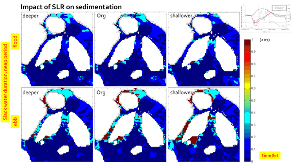 Result due to Climate Change (Sea Level Rise: SLR): Impact of SLR on sedimentation in neap period