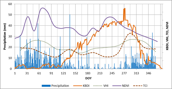 Products: Precipitation