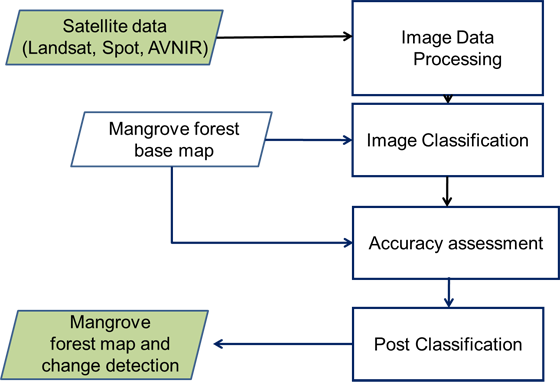 Developing System / Application: Mangrove forest mapping
