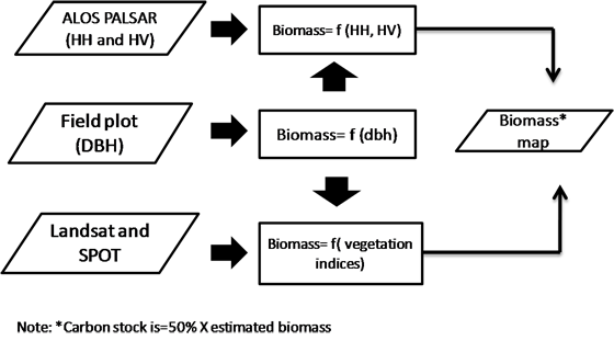 Developing System / Application: Mangrove forest biomass and carbon stock estimation