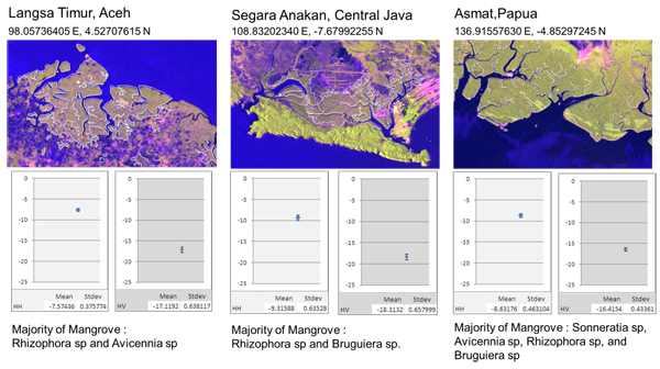 Spectral Signature of Mangrove Based on ALOS PALSAR K&C Mosaic (db)