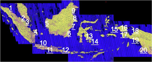 Study Area of "The assessment of Mangrove Forest Carbon Stock Monitoring of Indonesia using Remote Sensing Approach"