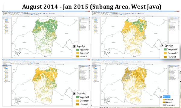 Rice Phrenological Stages Classification using ALOS-2 PALSAR-2 Data (HV_HH) of SAFE Prototype Activity on SAR Technology Application for Paddy Crop Monitoring in Center of Paddy Area, in Indonesia