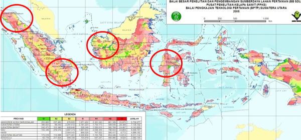 Study Area of Mapping and Monitoring Oil Palm Plantations Using Optical and SAR Space borne Data, in Indonesia