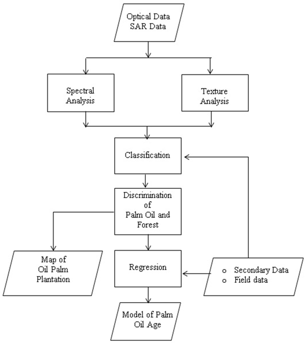 Developing System / Application