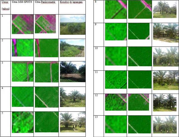 Current Achievement / Data Processing and Modelling