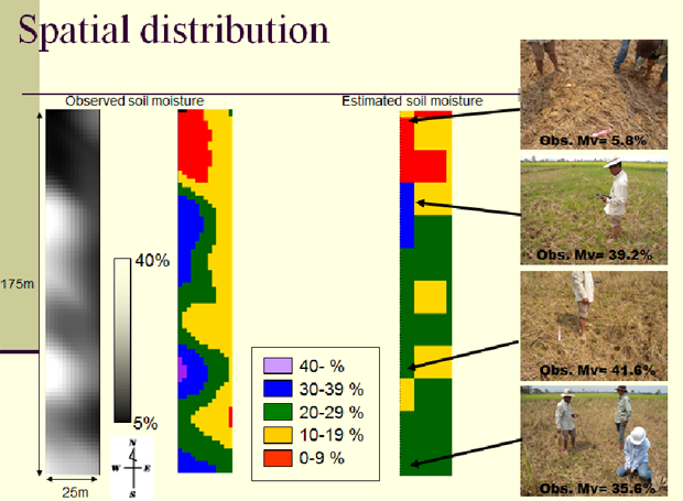 Surface correlation length (cm): Spatial distribution (Observed soil moisture and Estimated soil moisture)