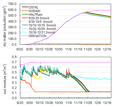 Crop Yield Simulation: 2. Sensitivity analysis on rainfall and irrigation