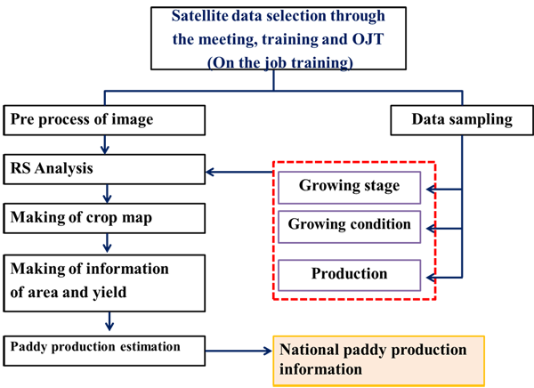 Developed System / Application