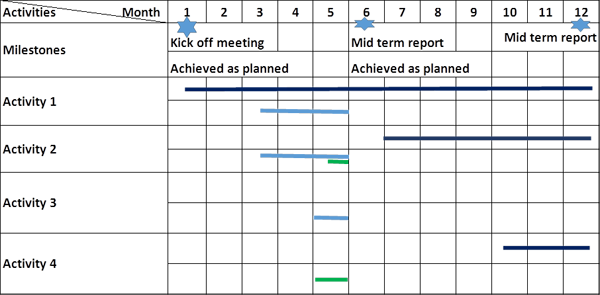 First Year Work Plan