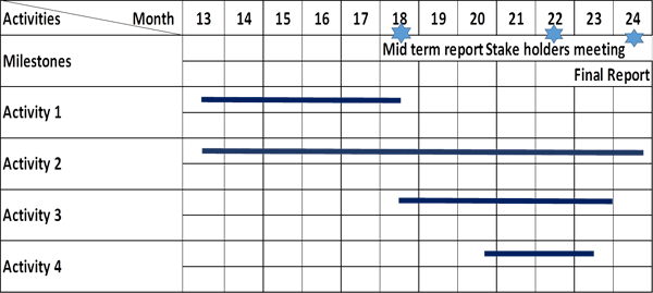 Second Year Work Plan