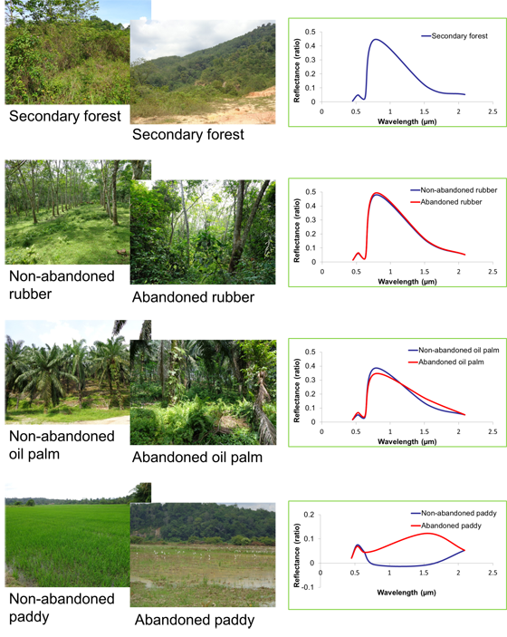 Comparison of Reflectance between Abandoned and Non-abandoned Area