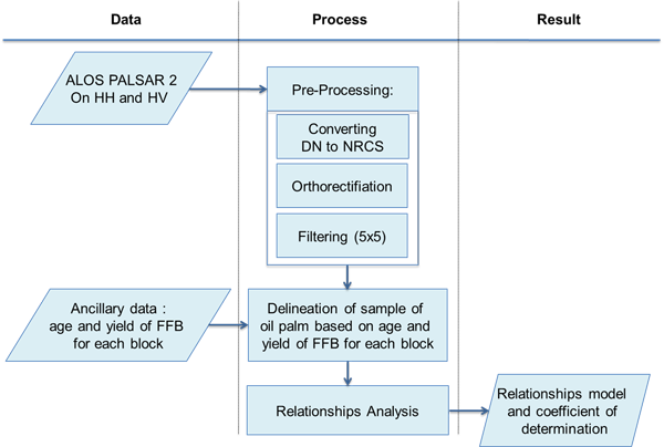 ALOS-PALSAR: Oil Palm Yield Analysis - Methodology