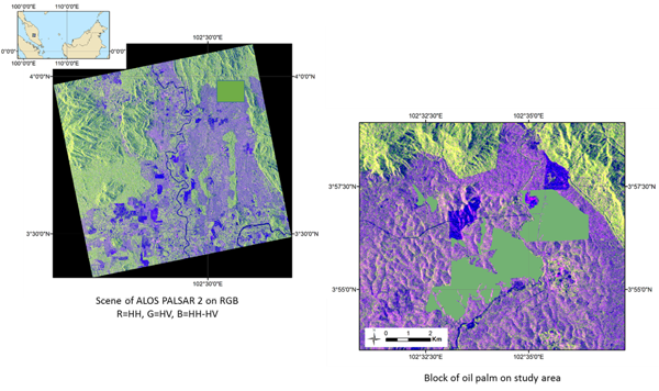 ALOS-PALSAR: Oil Palm Yield Analysis - Study area and ALOS data