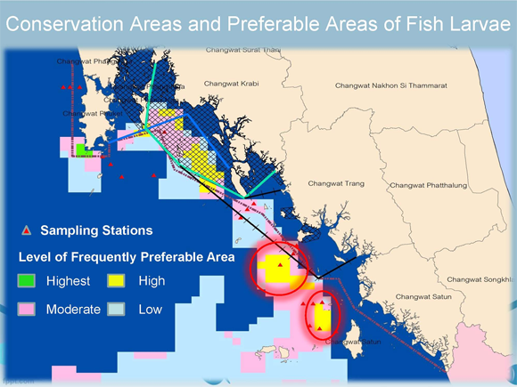 Conservation Areas and Preferable Areas of Fish Larvae