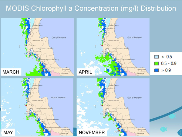 MODIS Chlorophyll Concentration (mg/l) Distribution on March, April, May and November