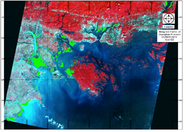 Mangrove Forest of Quang Ninh province on ALOS AVNIR-2 in 2010