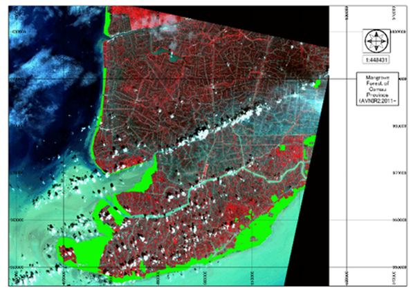 Mangrove Forest of Ca Mau province on ALOS AVNIR-2 in 2010