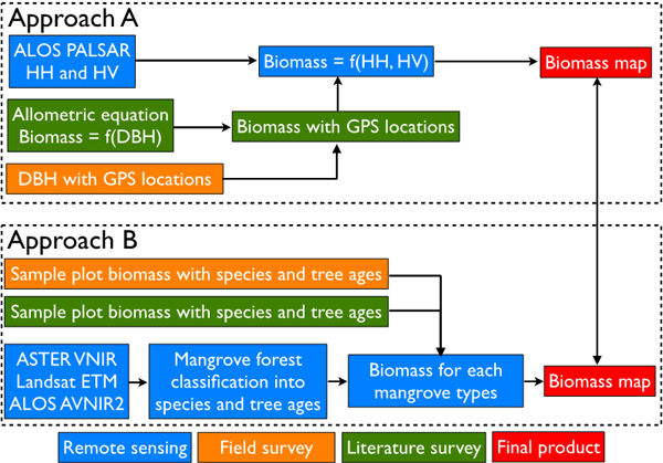 Approaches of biomass calculating