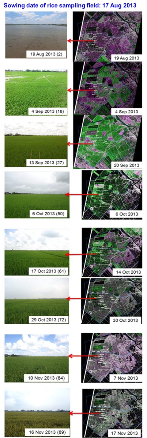 Final Results - Cosmo SkyMed data and Radarsat-2 data sets and Field Survey (An Giang)