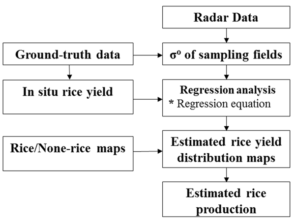 Methods used for rice yield estimation