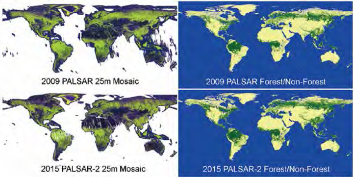 全球25m分解能PALSAR-2/PALSARモザイクおよび森林・非森林マップ