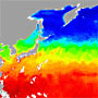 雲透過型観測による海面水温画像