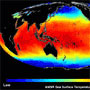 AMSRによる全球海面水温分布