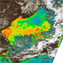 GLIが観測した春を迎える日本の海