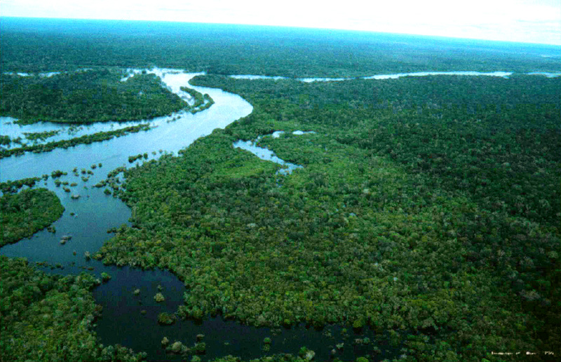 アマゾン川をみる 地球が見える Jaxa 第一宇宙技術部門 地球観測研究センター Eorc