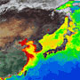 日本近海の海洋植物プランクトンの春季大増殖