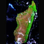インド洋に浮かぶ島大陸：マダガスカル