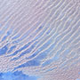さざ波のように美しいサハラ沙漠の砂丘