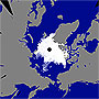北極海の海氷　過去2番目の小ささに肉薄